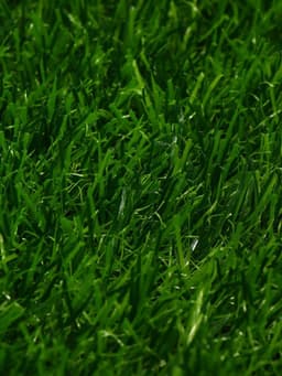 Газон искусственный, ворс 30 мм, 2×5 м, трёхцветный, тёмно-зелёный, Greengo