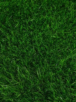 Газон искусственный, для спорта, ворс 40 мм, 2×5 м, зелёный, Greengo