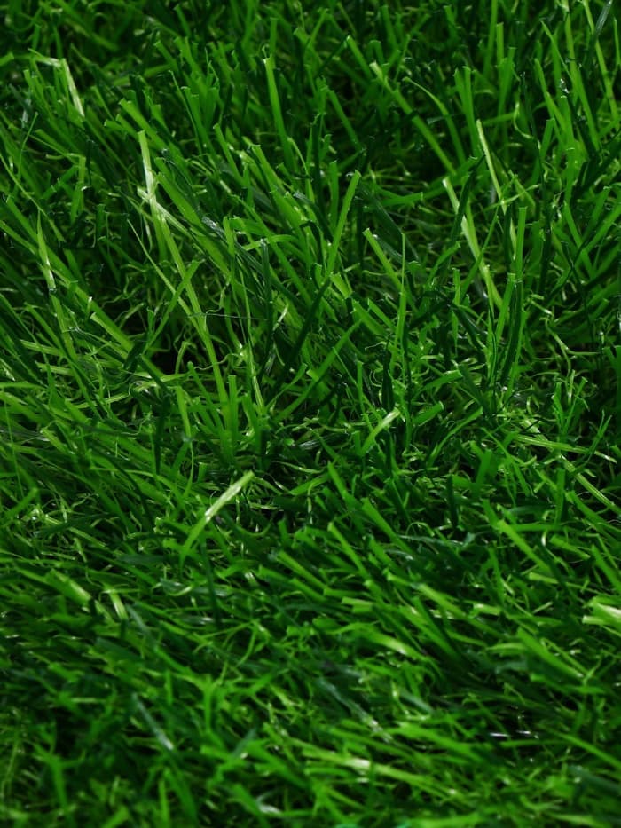 Газон искусственный, для спорта, ворс 40 мм, 2×5 м, зелёный, Greengo