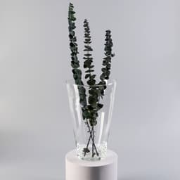 Ваза для цветов «Коническая», 4 л, большая, d=18.5 см, 29×18.5×10 см, стекло, прозрачная