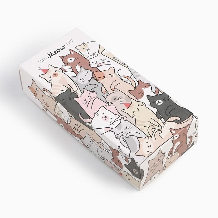 Носки женские KAFTAN Meow, набор 5 пар, размер 36-39 (23-25 см)