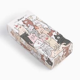 Носки женские KAFTAN Meow, набор 5 пар, размер 36-39 (23-25 см)