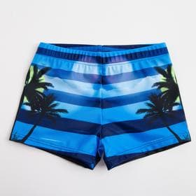 Плавки купальные для мальчика MINAKU «Ночной пляж», рост 86-92, голубые