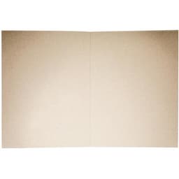 Папка-обложка Calligrata «Дело», 300 г/м² Герб России, картон немелованный, до 200 л, белая