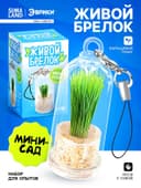 Набор для опыта «Живой брелок», мини-сад, выращивание травы