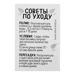 Набор для опыта «Живой брелок», мини-сад, выращивание травы