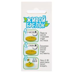 Набор для опыта «Живой брелок», мини-сад, выращивание травы