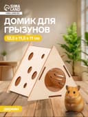 Домик для грызунов «Сыр», 12.5×11.5×11 см, дерево