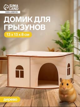 Домик для грызунов, 13×13×8 см, дерево