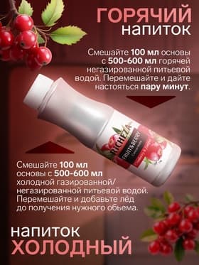 Концентрат RiCHEZA «Клюква-Можжевельник», 1000 г