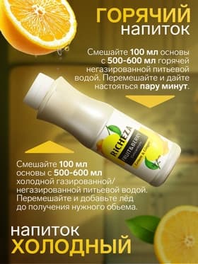 Концентрат RiCHEZA «Лимон-Имбирь», 1000 г