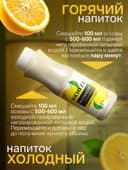 Концентрат RiCHEZA «Лимон-Имбирь», 1000 г