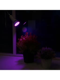 Фитолампа для растений Luazon, светодиодная, E27, 6 Вт, IP44, 220 В, 270°, биколорная