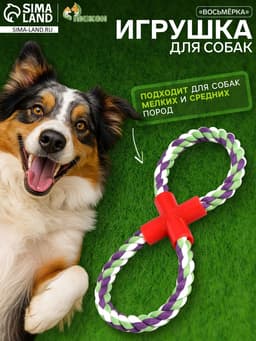 Игрушка для собак канатная «Восьмёрка», тренировочная, до 27 см, 110-130 г, цвет МИКС