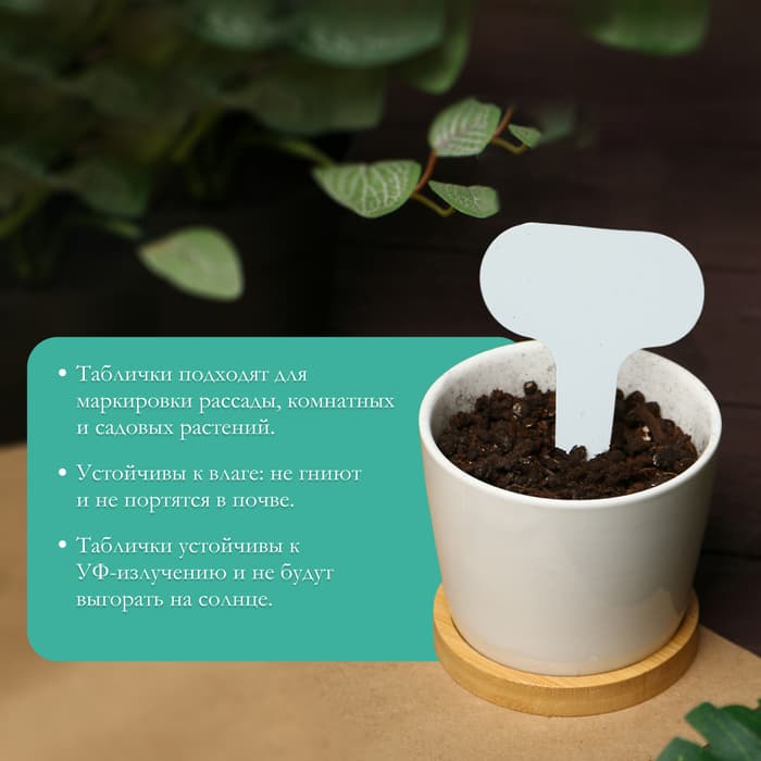 Таблички садовые, для маркировки растений, 7 см, набор 20 шт., пластик, МИКС, Greengo