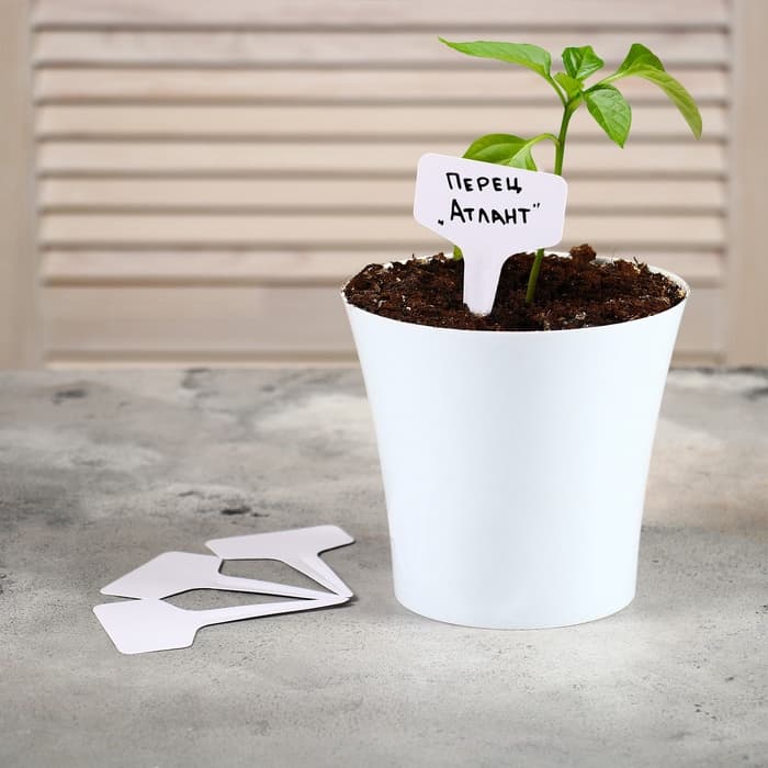 Таблички садовые, для маркировки растений, 10 см, набор 20 шт., пластик, МИКС, Greengo