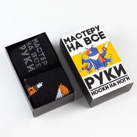 Носки мужские «Мастер» 2 пары, размер 41-44 (27-29 см)