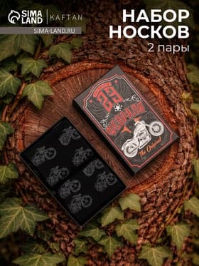 Носки мужские «23 Февраля», набор 2 пары, размер 41-44 (27-29 см)