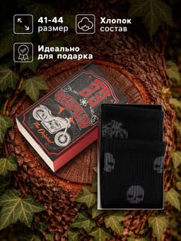 Носки мужские «23 Февраля», набор 2 пары, размер 41-44 (27-29 см)