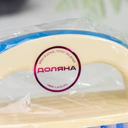 Щётка утюжок для уборки Доляна, с ручкой, пластик, хозяйственная, 17×6×8.5 см, МИКС