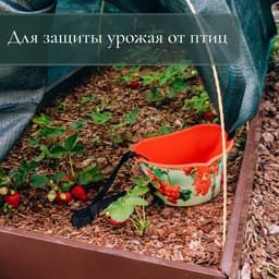 Сетка затеняющая, 10×2 м, плотность 80 г/м², зелёная, в наборе 25 клипс