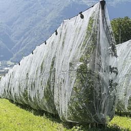 Клипса садовая «Люверс», для крепления затеняющей сетки, пластиковая, чёрная