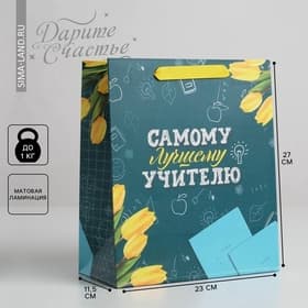 Пакет подарочный ламинированный «Самому Лучшему Учителю», ML 27×23×11.5 см