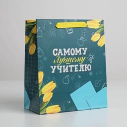 Пакет подарочный ламинированный «Самому Лучшему Учителю», ML 27×23×11.5 см