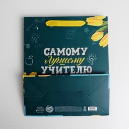 Пакет подарочный ламинированный «Самому Лучшему Учителю», ML 27×23×11.5 см