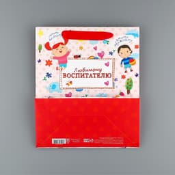 Пакет подарочный ламинированный, упаковка, «Любимому воспитателю», ML 27×23×11.5 см