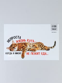Коврик под миску «Не проста жизнь кота», 43×28 см