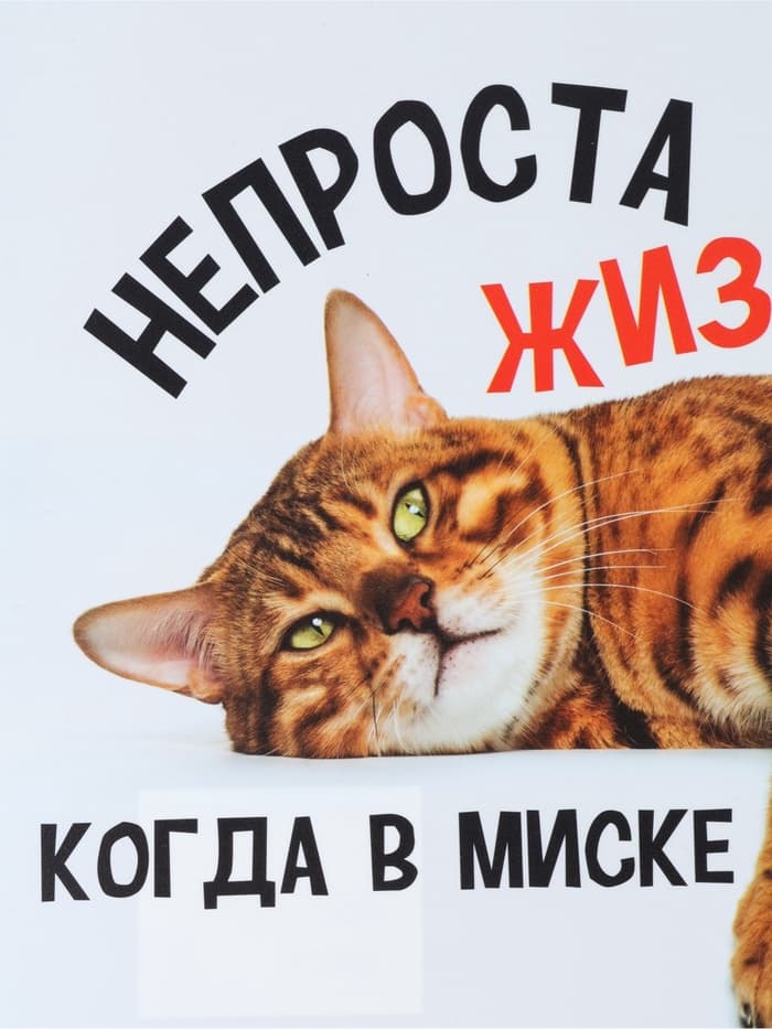 Коврик под миску «Не проста жизнь кота», 43×28 см