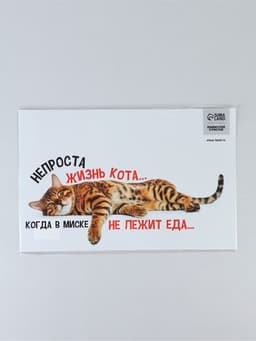 Коврик под миску «Не проста жизнь кота», 43×28 см