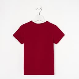 Футболка KAFTAN Basic line, размер 32 (110-116 см), бордо