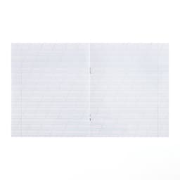 Тетрадь 12 листов в косую линейку «Зелёная обложка», плотность 65 г/м²