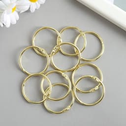 Кольца для фотоальбомов «Золото», внутр. d=2.6 см, внешн. d=3 см, набор 10 шт.