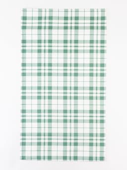 Полотенце «Этель. Эвкалипт», в клетку, 40×70 см, 100% хлопок, саржа 190 г/м²