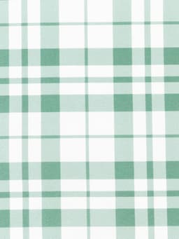 Полотенце «Этель. Эвкалипт», в клетку, 40×70 см, 100% хлопок, саржа 190 г/м²