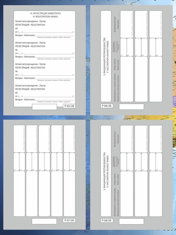 Ветеринарный паспорт международный универсальный «Лапки», 28 страниц