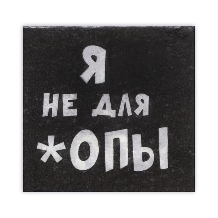 Салфетки бумажные однослойные «Я не для *опы», 24×24, 100 шт.