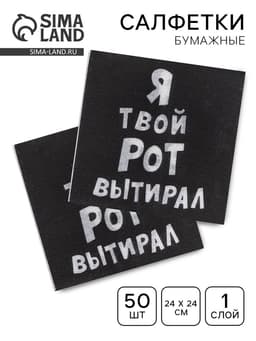 Салфетки бумажные однослойные «Я твой рот вытирал», 24×24, 50 шт.