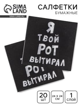 Салфетки бумажные однослойные «Я твой рот вытирал», 24×24, 20 шт.