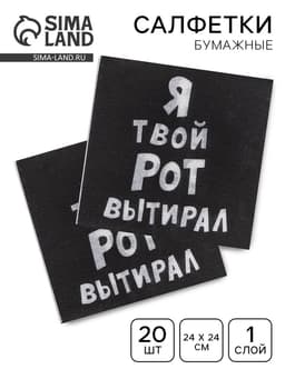 Салфетки бумажные однослойные «Я твой рот вытирал», 24×24, 20 шт.