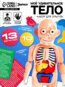 Набор для опытов «Мое удивительное тело»