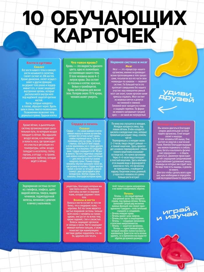 Набор для опытов «Мое удивительное тело»