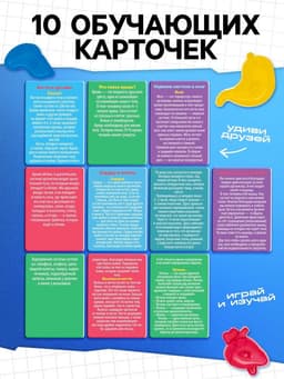 Набор для опытов «Мое удивительное тело»