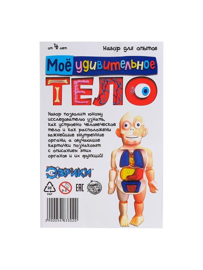 Набор для опытов «Мое удивительное тело»