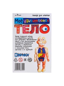 Набор для опытов «Мое удивительное тело»
