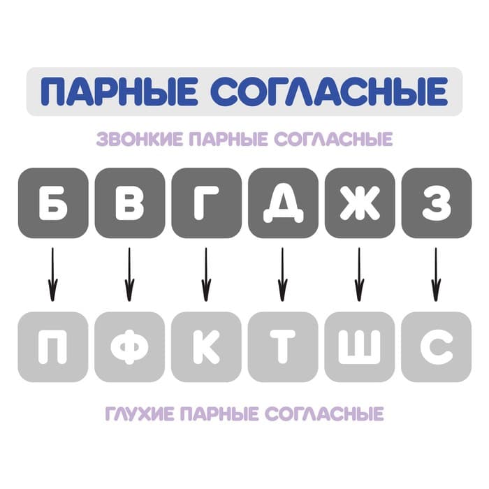 Веер-касса, парные согласные буквы, Calligrata, пакет с европодвесом