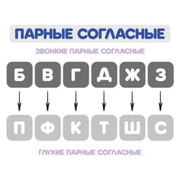 Веер-касса, парные согласные буквы, Calligrata, пакет с европодвесом